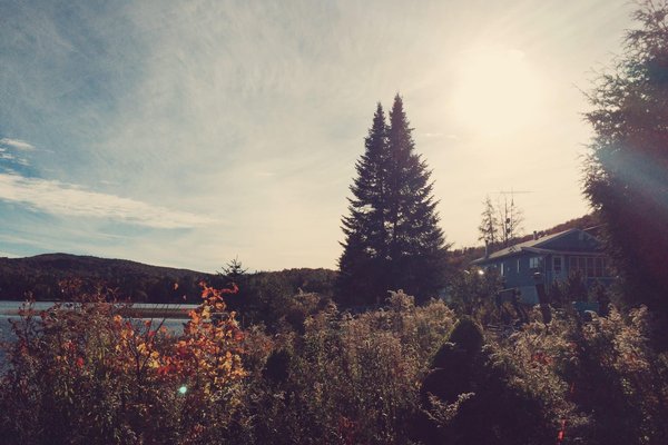 Boots d'automne : styles et astuces de port